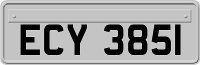 ECY3851