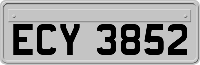 ECY3852