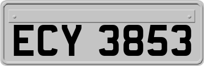 ECY3853