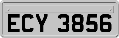 ECY3856