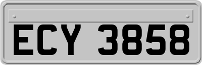 ECY3858