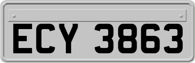 ECY3863