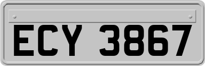 ECY3867