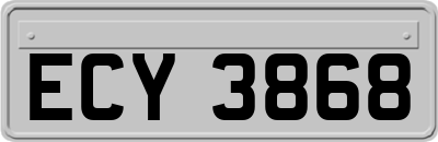 ECY3868
