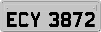 ECY3872