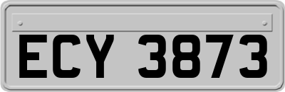 ECY3873