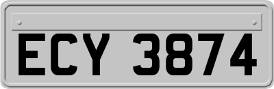 ECY3874