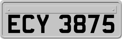 ECY3875