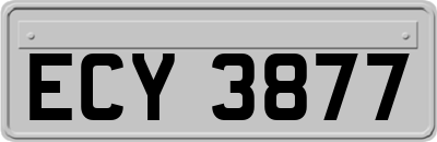 ECY3877