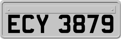 ECY3879