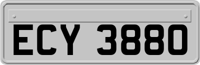 ECY3880