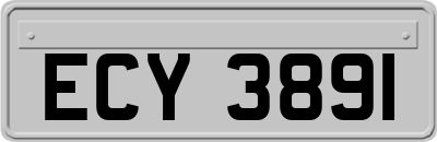ECY3891
