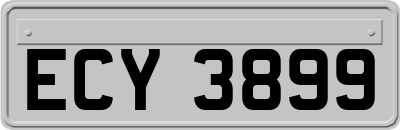 ECY3899