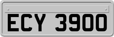 ECY3900