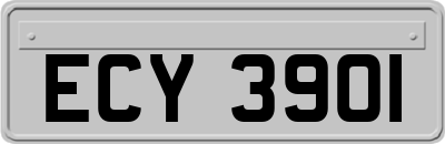 ECY3901