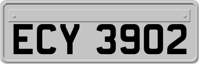 ECY3902