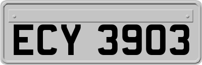 ECY3903