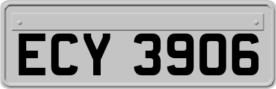 ECY3906