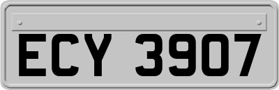 ECY3907