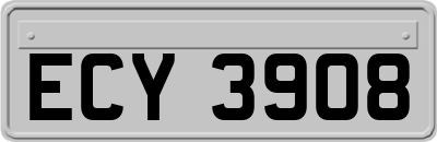 ECY3908