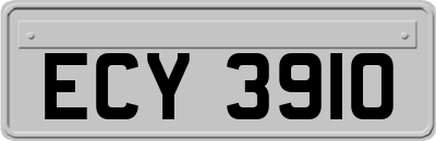 ECY3910