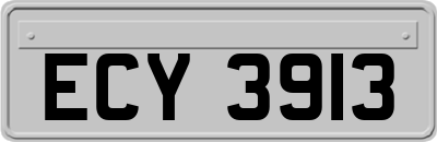 ECY3913