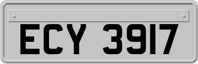 ECY3917