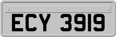 ECY3919