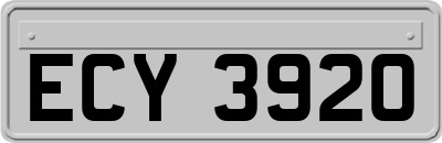 ECY3920