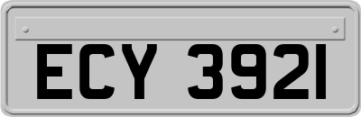 ECY3921