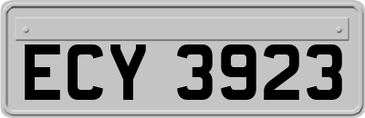 ECY3923