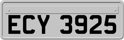 ECY3925