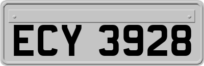 ECY3928