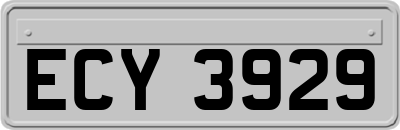 ECY3929