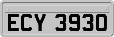 ECY3930