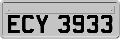 ECY3933