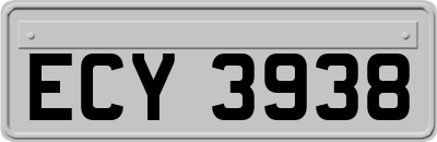 ECY3938
