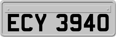 ECY3940