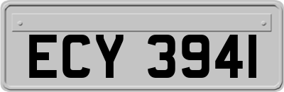 ECY3941