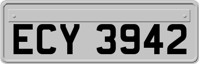 ECY3942