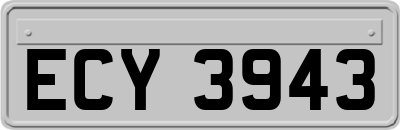 ECY3943