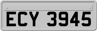 ECY3945