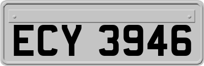 ECY3946