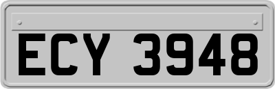 ECY3948