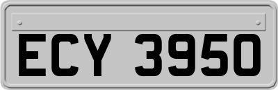 ECY3950