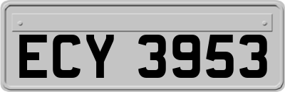 ECY3953