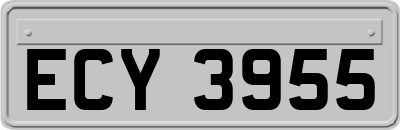 ECY3955