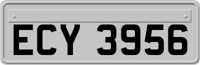 ECY3956
