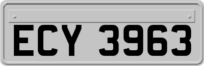 ECY3963