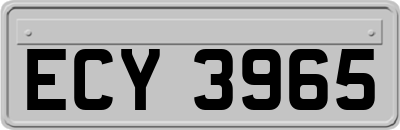 ECY3965